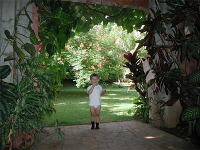 garden